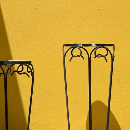 The Yellow Art * Kalamata